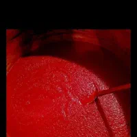 رب گوجه محلی|خوردنی و آشامیدنی|دورود, |دیوار