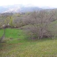 ۴ هزار متر زمین(باغ گردو)|فروش زمین و ملک کلنگی|برهسر, |دیوار