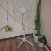 پنکه نونو