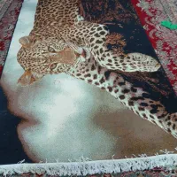 قالی ۹متری|فرش|چمران, |دیوار