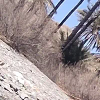 ۵۰ هکتار زمین روستای گیشان تیتوم