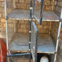 قفس آهنی سه طبقه مناسب کبوتر .بلدرچین و مرغ و...