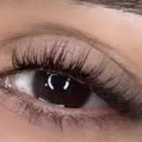 سلام مژه کار هستم