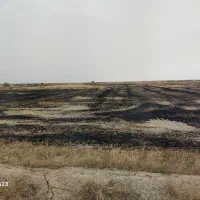 فروش زمین زراعتی