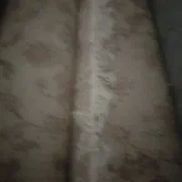 فروش فرش دست دوم