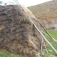 علوفه فروشی|عمده‌فروشی|اردبیل, |دیوار