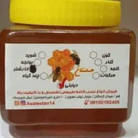 عسل ژل رویال گرده گل بره موم|خوردنی و آشامیدنی|قم, آزادگان|دیوار