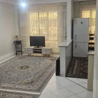 فروش آپارتمان ۷۰ متری ۱ خوابه همکف در شهرک نگین