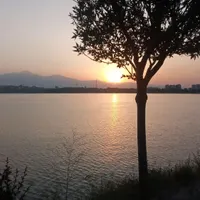 گمشده گواهی نامه به نام فیروز سلیمی