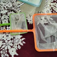 فروش اکواریوم|ماهی|نقده, |دیوار