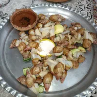 حلزون|خزنده|اصفهان, ارزنان|دیوار