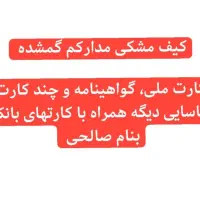 کیف مدارکم گمشده، صالحی