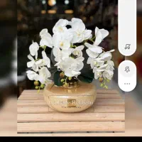 راهنمایی کنین