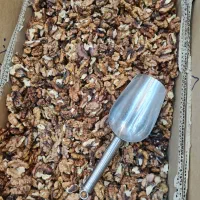 فروش مستقیم گردو بادام مغز تویسرکان|خوردنی و آشامیدنی|اسلام‌شهر, شهرک قائمیه|دیوار