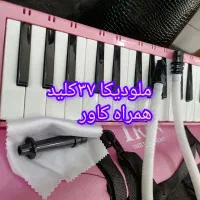 ارگ کیبورد ملودیکا|پیانو، کیبورد، آکاردئون|مشهد, طبرسی شمالی|دیوار