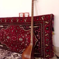 سه تار سپهر  نو|سازهای سنتی|ایلام, |دیوار