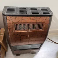 بخاری سوزان