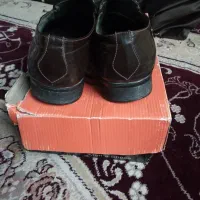 کفش مجلسی مردانه|کیف، کفش، کمربند|قم, انسجام|دیوار