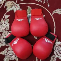 دسکش ساق روپا کاراته