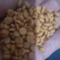 غذای سگ وگربه