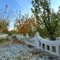 باغ (آلاچیق و باربیکیو)اطراف ساخته شده سرسبز و دنج|فروش زمین و ملک کلنگی|اسلامشهر, شهرک احمدیه|دیوار