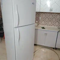 یخچال لباس شویی بخار شور