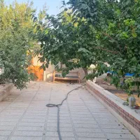 باغچه-زیبادشت