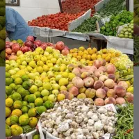 نیروی کاردرمیوه فروشی