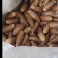 بلوط فروشی تحویلی