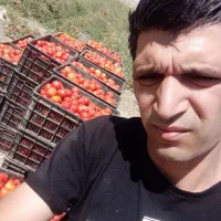 آبگیری گوجه لیمو انگور  و دستگاهای اصفهان|خوردنی و آشامیدنی|مشهد, توس (بلوار توس)|دیوار