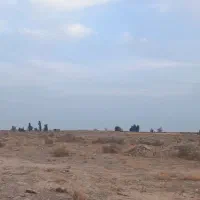 ۲۰۰۰ متر بر اصلی ۳۶ متری پدیده|فروش زمین و ملک کلنگی|کاشان, دشت لتحر|دیوار