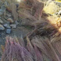 جارو نظافت|لوازم نظافت|روانسر, |دیوار