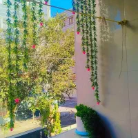 پخش شمشادپرده ای تک وعمده قیمت پخش گل مصنوعی دکوری