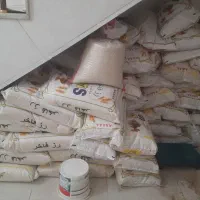 فروش برنج روز فاخر