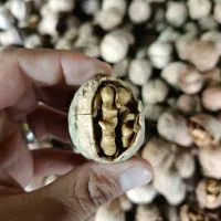 خشکبار درجه یک واعلا غرب کشور|خوردنی و آشامیدنی|عسلویه, |دیوار