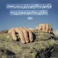 سرمایه از شما سود از ما