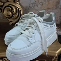 کفش|کیف، کفش، کمربند|مشهد, امام رضا (ع)|دیوار