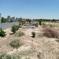 زمین-باغی
