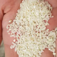 فروش برنج نیمدانه طارم هاشمی درجه یک