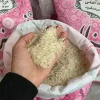 برنج غزال صورتی اصل