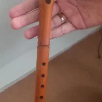 فلوت سیر دار