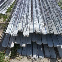 خدمات تیرچه بلوک|خدمات پیشه و مهارت|رامشیر, |دیوار