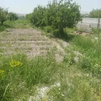 گلخانه دارای پروانه بهره برداری|فروش زمین و ملک کلنگی|ارومیه, |دیوار