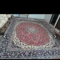 فرش|فرش|مشهد, شهرک بهارستان|دیوار