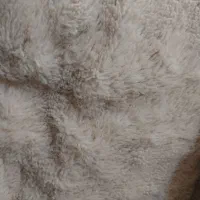 کاپشن دخترانه|کفش و لباس بچه|خوی, |دیوار