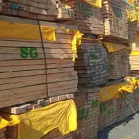 چوب نراد یولکاوساسنا روسی ابعاد واقعی لمبه پلکوبی