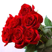 فیش حج عمره