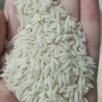 برنج هاشمی درجه یک سورتینگ خورده یدست قضاوت باخودت|خوردنی و آشامیدنی|تهران, شهادت|دیوار