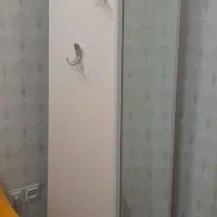 آیینه قدی با کتابخانه