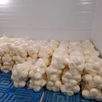 استخدام کارگر ساده در کارگاه لبنیات  قوچان لبن